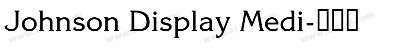 Johnson Display Medi字体转换